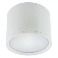 Lampy sufitowe - Ideus Plafon 7W LED 4000K 03108 - miniaturka - grafika 1