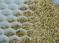 Akcesoria do urządzeń ogrodniczych - Panel Coregravel Mleczno Biały 25 V - miniaturka - grafika 1