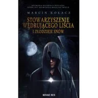 Horror, fantastyka grozy - Stowarzyszenie wędrującego liścia i złodzieje snów - miniaturka - grafika 1