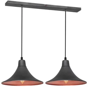 Aldex 785H19 Zwis 2-Pł Nani Grafit 785H19 - Lampy sufitowe - miniaturka - grafika 1