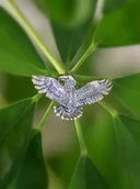 Broszki - Broszka z krukiem srebrna - miniaturka - grafika 1