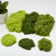 Rękodzieło - TEMU 100g Sztuczna Trawa - Zielona Dekoracja Trawy do Terrariów, Kamieni i Mini Krajobrazów, Idealna do Rękodzieła i Projektowania , Materiał do - miniaturka - grafika 1