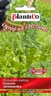 Nasiona i cebule - NASIONA Endywia Mieszanka Mix 0,3g PLANTICO 404786 - miniaturka - grafika 1