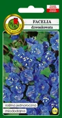 Nasiona i cebule - Facelia dzwonkowata niebieska 0,8 g PNOS - miniaturka - grafika 1
