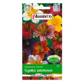 Nasiona i cebule - Tujałka mix - miniaturka - grafika 1