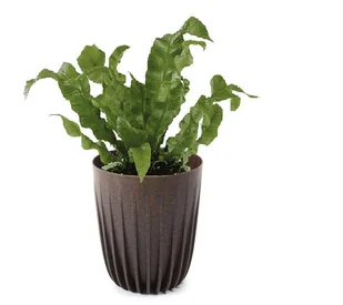 Doniczka MIRA ECO coffee 14,5 cm espresso - Donice - miniaturka - grafika 2