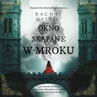 Audiobooki - fantastyka i horror - Okno skąpane w mroku - miniaturka - grafika 1