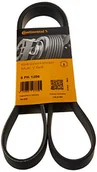 Rolki i napinacze - CONTITECH Pasek klinowy wielorowkowy 6PK1256 - miniaturka - grafika 1