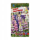 Nasiona i cebule - Łubin Hartweha 5g / O / - miniaturka - grafika 1