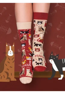 Skarpety Kocia Mama 35-38 Nowa - Moda i uroda - miniaturka - grafika 2
