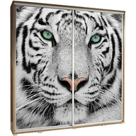 Szafy - Szafa 205 z Grafiką Tygrys Penelopa Maridex Biały Mat - miniaturka - grafika 1