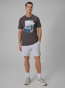 4F Spodenki dresowe męskie - szare XXL - Spodenki męskie 4F Spodenki dresowe męskie - szare XXL - Spodenki męskie - miniaturka - grafika 1