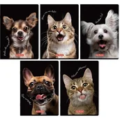 Zeszyty szkolne - Herlitz Zeszyt A560k kratka z marginesem Animals (10szt) - miniaturka - grafika 1