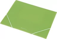 Teczki i skoroszyty - PANTA PLAST Teczka na gumkę A4 transparentna EX4302 zielona - miniaturka - grafika 1