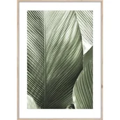 Obrazy i zdjęcia - Obraz ARTBOX DIGI 50 x 70 cm BR002 MACRO - miniaturka - grafika 1