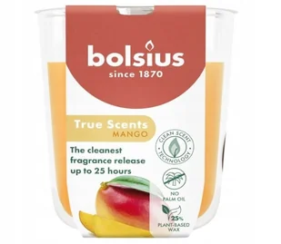 Świeca Zapachowa 80/73 Mango Bolsius True Scents - Świece - miniaturka - grafika 1