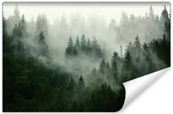 Fototapety - Fototapeta LAS WE MGLE Góry Krajobraz Do Salonu Sypialni 3D 180cm x 120cm - miniaturka - grafika 1