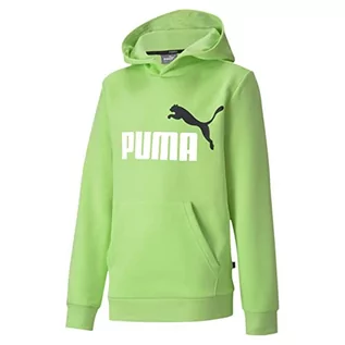 Bluzy dla dziewczynek - PUMA ESS 2 Col Hoody FL B Bluza Dzieci - grafika 1