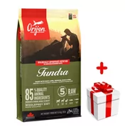 Sucha karma dla psów - ORIJEN Tundra Dog 11,4kg + niespodzianka dla psa GRATIS! - miniaturka - grafika 1