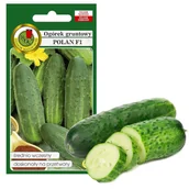 Nasiona i cebule - OGÓREK KONSERWOWY WCZESNY NASIONA BEZ GMO POLAN 5g - miniaturka - grafika 1