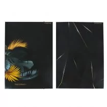 Starpak Teczka z gumką Pap A4 Elegant Fol 10/100 - Teczki i skoroszyty - miniaturka - grafika 1