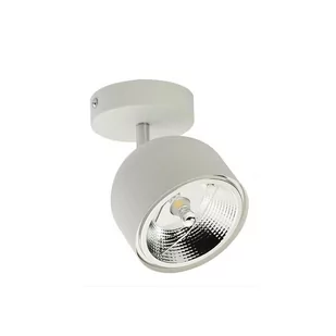 Lampa reflektor spot ALTEA WHITE 6512 TK Lighting - Lampy pozostałe - miniaturka - grafika 1