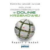 Biznes - Polskie przedsiębiorstwa w Dolinie Krzemowej - Dominika Latusek-Jurczak - miniaturka - grafika 1