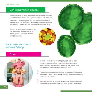 Mikroskop Discovery Pico biało-czarny - Mikroskopy i lupy - miniaturka - grafika 8