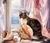 Malowanie po numerach - Norimpex Malowanie po numerach. Kot 40 x 50 cm - miniaturka - grafika 1