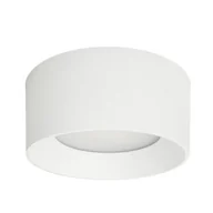 Lampy sufitowe - Sirius D20,4 LED plafon 1-punktowy IP44 biały WG-608C/WK-WW/MULTI - miniaturka - grafika 1
