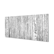 Dekoracje domu - Lacobel szkło Czarno-białe drzewa las 120x60 cm - miniaturka - grafika 1