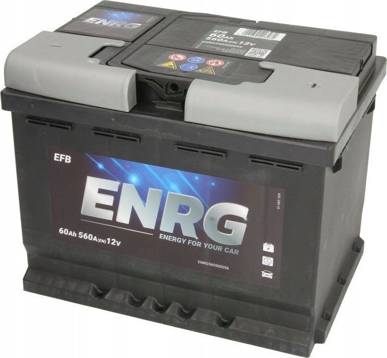 Akumulator ENRG 12V 60Ah/560A START&STOP EFB P+ biegun standardowy 242x175x190 B13 - stopka o wysokości 10 5 mm efb/rozruchowy
