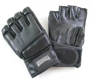 Rękawice sparingowe MMA Evolution Professional Equipment Black - Rękawice bokserskie - miniaturka - grafika 1