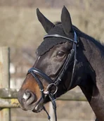 Akcesoria jeździeckie - PFIFF Nauszniki - miniaturka - grafika 1