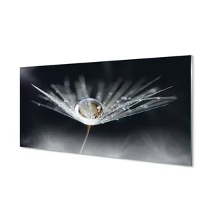 Panel szklany Kropla dmuchawiec makro 120x60 cm - Tablice i flipcharty - miniaturka - grafika 1