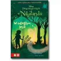 Zielona Sowa Pewnego razu w Nibylandii 6 W odległym lesie - Thorpe Kiki - Powieści i opowiadania Zielona Sowa Pewnego razu w Nibylandii 6 W odległym lesie - Thorpe Kiki - Powieści i opowiadania - miniaturka - grafika 1