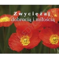 Aforyzmy i sentencje - Edycja Świętego Pawła praca zbiorowa Perełka 193. Zwyciężaj dobrocią i miłością - miniaturka - grafika 1