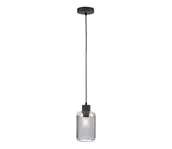 Lampy sufitowe - Paul Neuhaus 2006-25 - Żyrandol na lince BOLETUS 1xE27/10W/230V śr. 14 cm szary - miniaturka - grafika 1