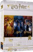 Puzzle - Puzzle, Harry Potter, Ron i Hermiona, 1000 el. - miniaturka - grafika 1