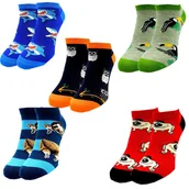 Skarpetki męskie - SKARPETY MĘSKIE STOPKI BAWEŁNIANE SKARPETKI KOLOROWE KRÓTKIE 40/43 5 PAR - miniaturka - grafika 1