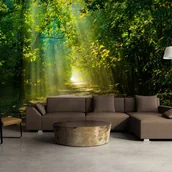 Fototapety - Fototapeta samoprzylepna - Droga w słońcu (rozmiar 98x70) - miniaturka - grafika 1