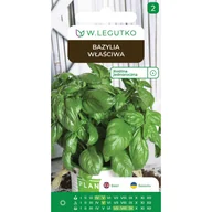 Nasiona i cebule - Bazylia właściwa nasiona W.Legutko - miniaturka - grafika 1