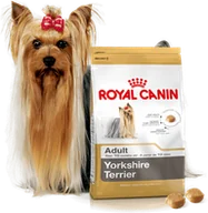 Mokra karma dla psów - Royal Canin ROYAL CANIN Yorkshire Terrier Adult 7,5kg karma sucha dla psów dorosłych rasy yorkshire terrier - 4+1 PROMOCYJNE OPAKOWANIE - miniaturka - grafika 1