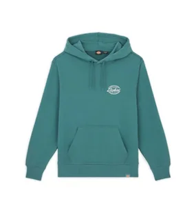 felpa uomo dickies globe hoodie - dk0a85sr0 ln1 green - Bluzy męskie - miniaturka - grafika 1