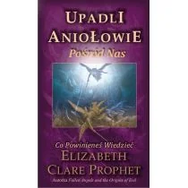 Upadli aniołowie Pośród nas Używana - Religia i religioznawstwo - miniaturka - grafika 1