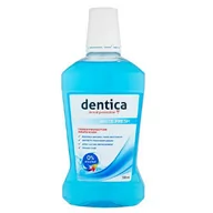 Płyny do płukania jamy ustnej - Dentica White Fresh Mouthwash Płyn do płukania jamy ustnej 500 ml 5907608610165 - miniaturka - grafika 1