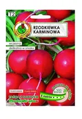 Nasiona i cebule - Rzodkiewka Karminowa taśma 6 m PNOS Ożarów - miniaturka - grafika 1