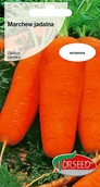 Nasiona i cebule - Nasiona Marchew jadalna Chantenay 3g - Torseed - miniaturka - grafika 1