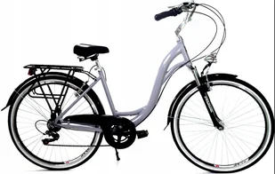 Dallas Bike City Alu 28 cali Damski Siwy z czarnym - Rowery - miniaturka - grafika 1