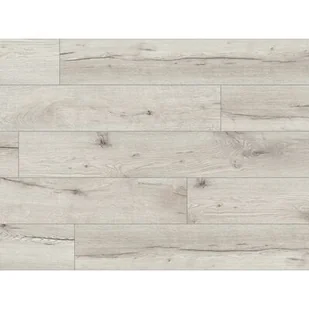 Panel podłogowy Expedition 4V WR Dąb Onega - Panele podłogowe - miniaturka - grafika 1